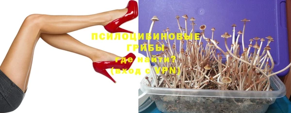 СК Балахна