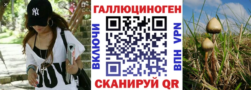 Псилоцибиновые грибы MAGIC MUSHROOMS Сегежа